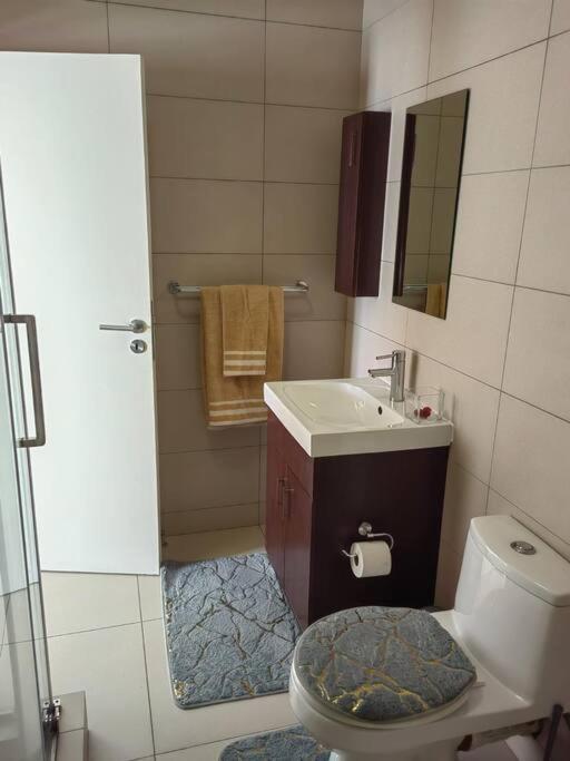 Classy And Cosy Apt - Dainfern ساندتون المظهر الخارجي الصورة